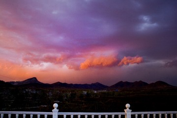 _MG_ss4261.jpg