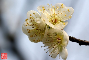 DSC00179_副本_副本.jpg