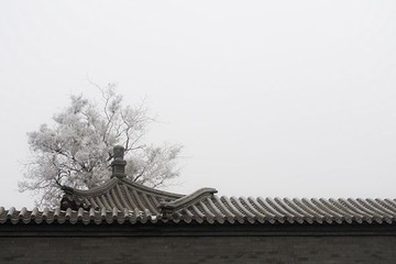 IMGP3218.jpg
