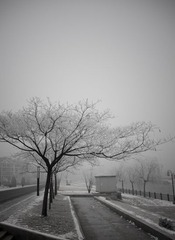 IMGP3278.jpg
