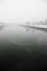 IMGP3148.jpg