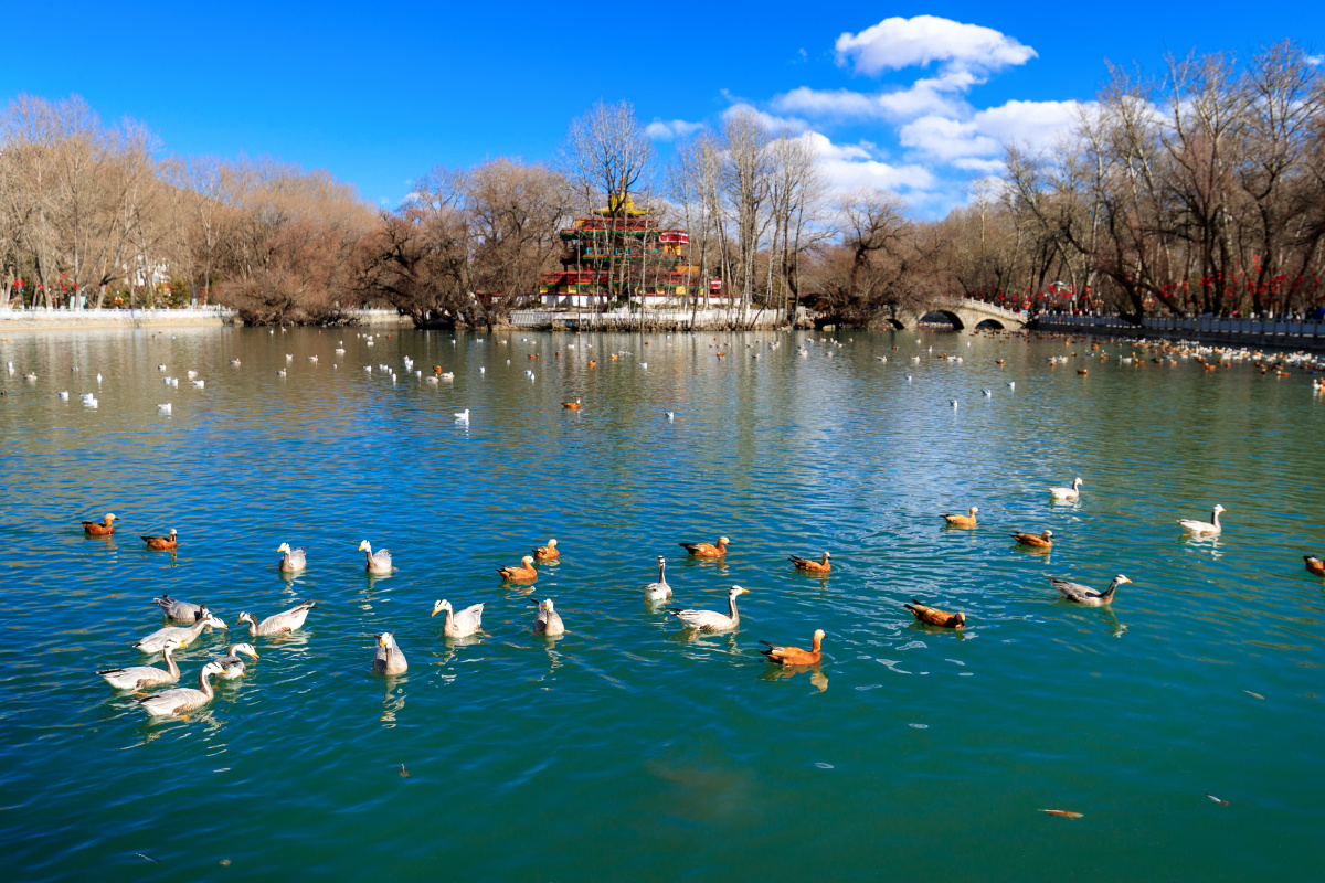 布达拉宫龙王潭