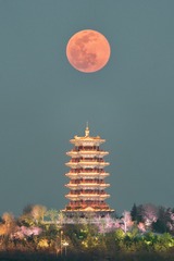 十五的月亮十六圆