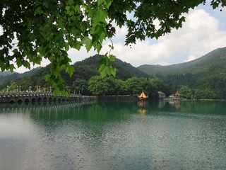 DSC01814.JPG