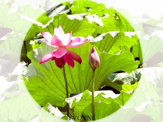 20140721-011