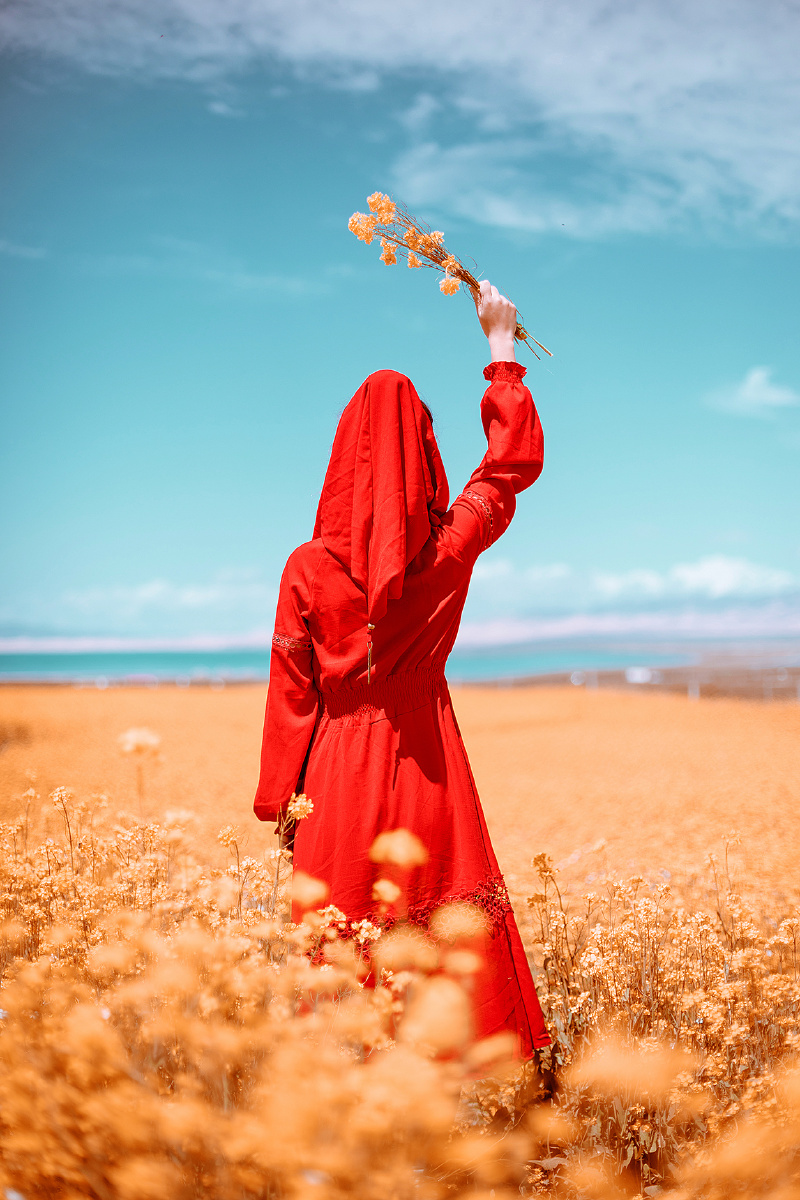 唯美的油菜花不一样的味道