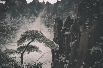 24014