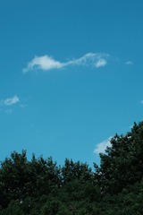 B3FC6A90-63FD-4096-8C1E-87B246A6F78F/L0/001
