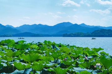 A0078968-0AA0-4F55-A81E-29DB5F443563/L0/001