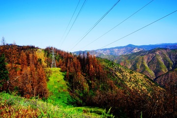 DSC06182a