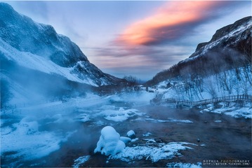 冰雪凤凰