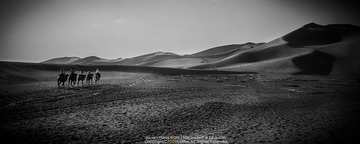 IMG_0528.jpg