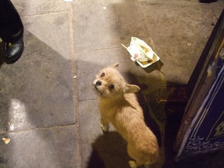 DSCF0215.JPG