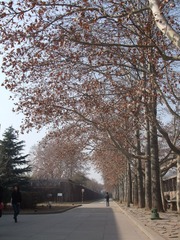 DSCF0182.JPG