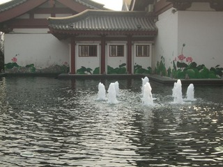 DSCF0374.JPG