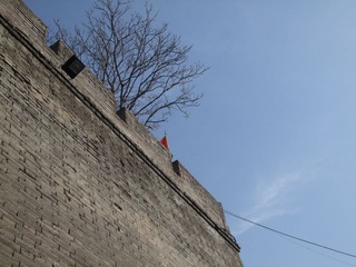 DSCF9987.JPG