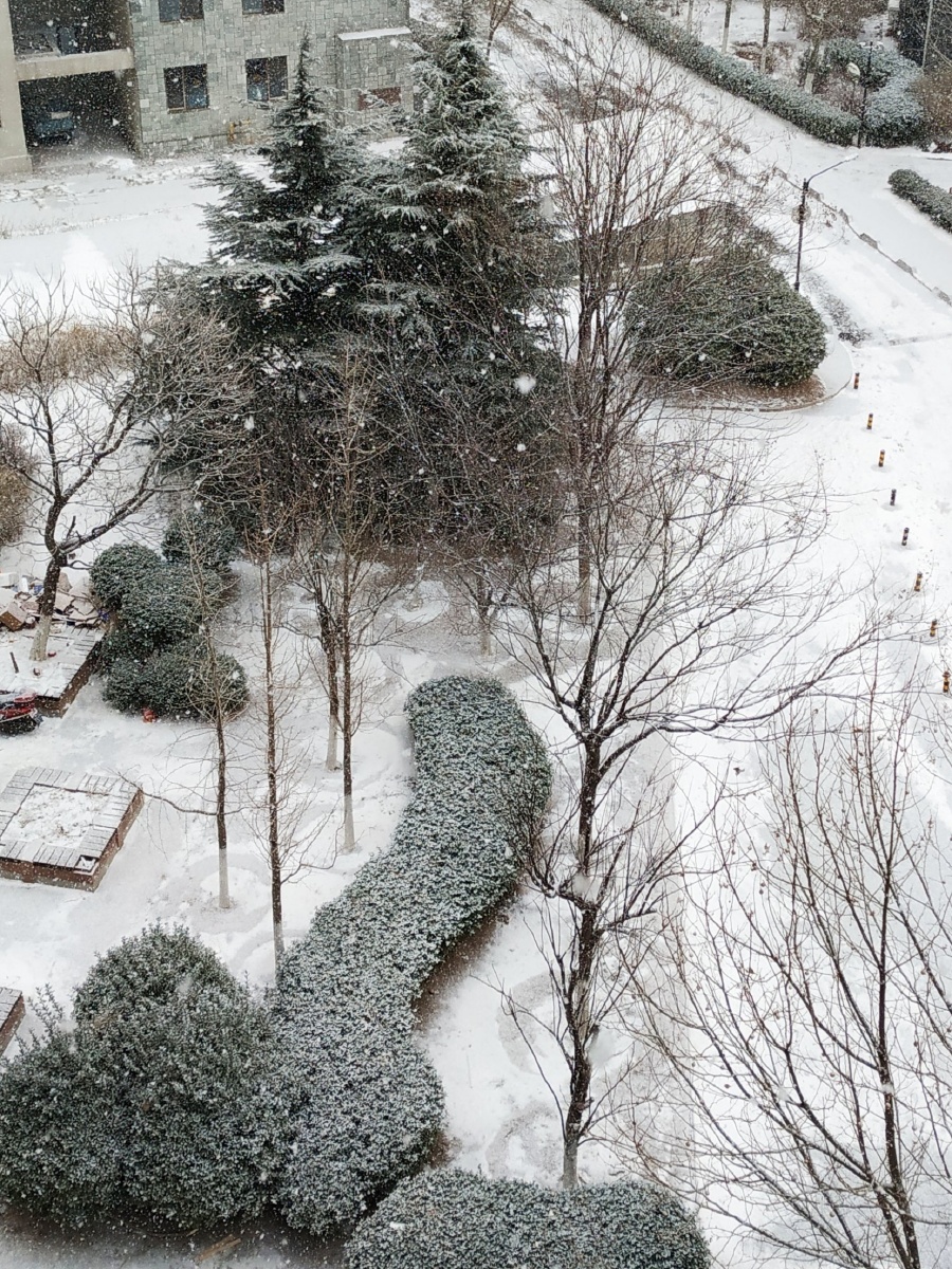 小区雪景(原创)大连金州拍摄 - 平和致远 - 图虫