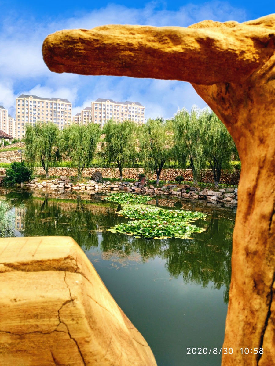 大连风景植物公园金州董家沟