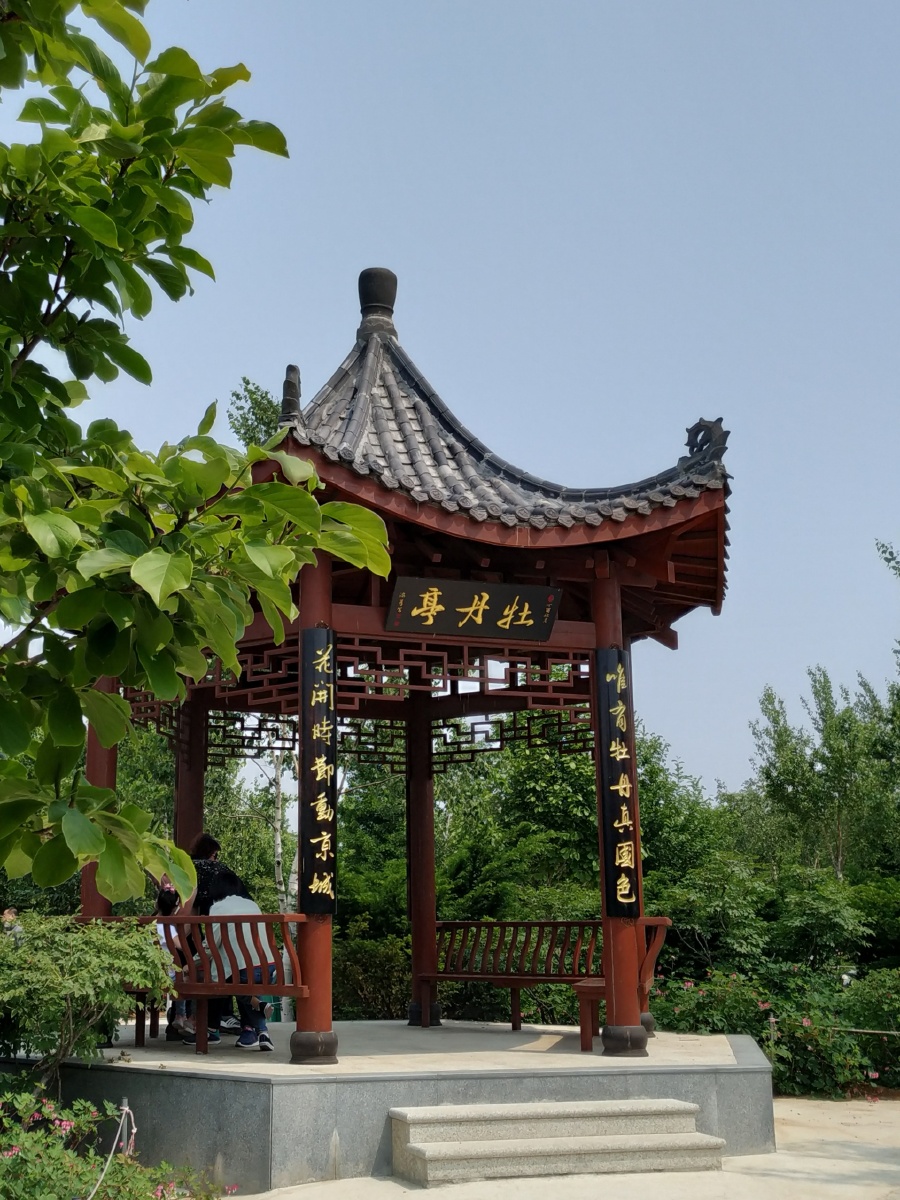 大连风景金州华家牡丹园一