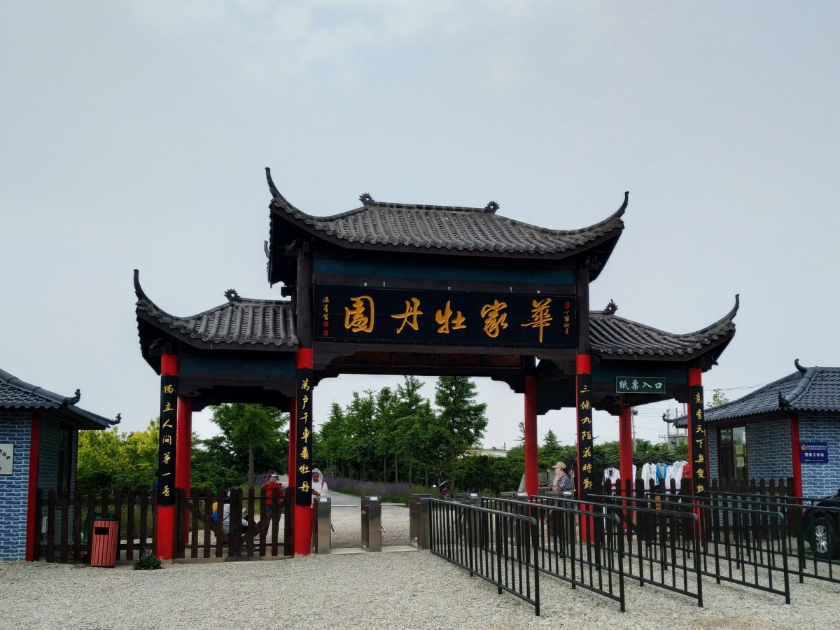 大连风景金州华家牡丹园