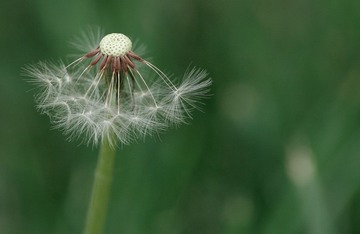 nEO_IMG_IMG_5942.jpg