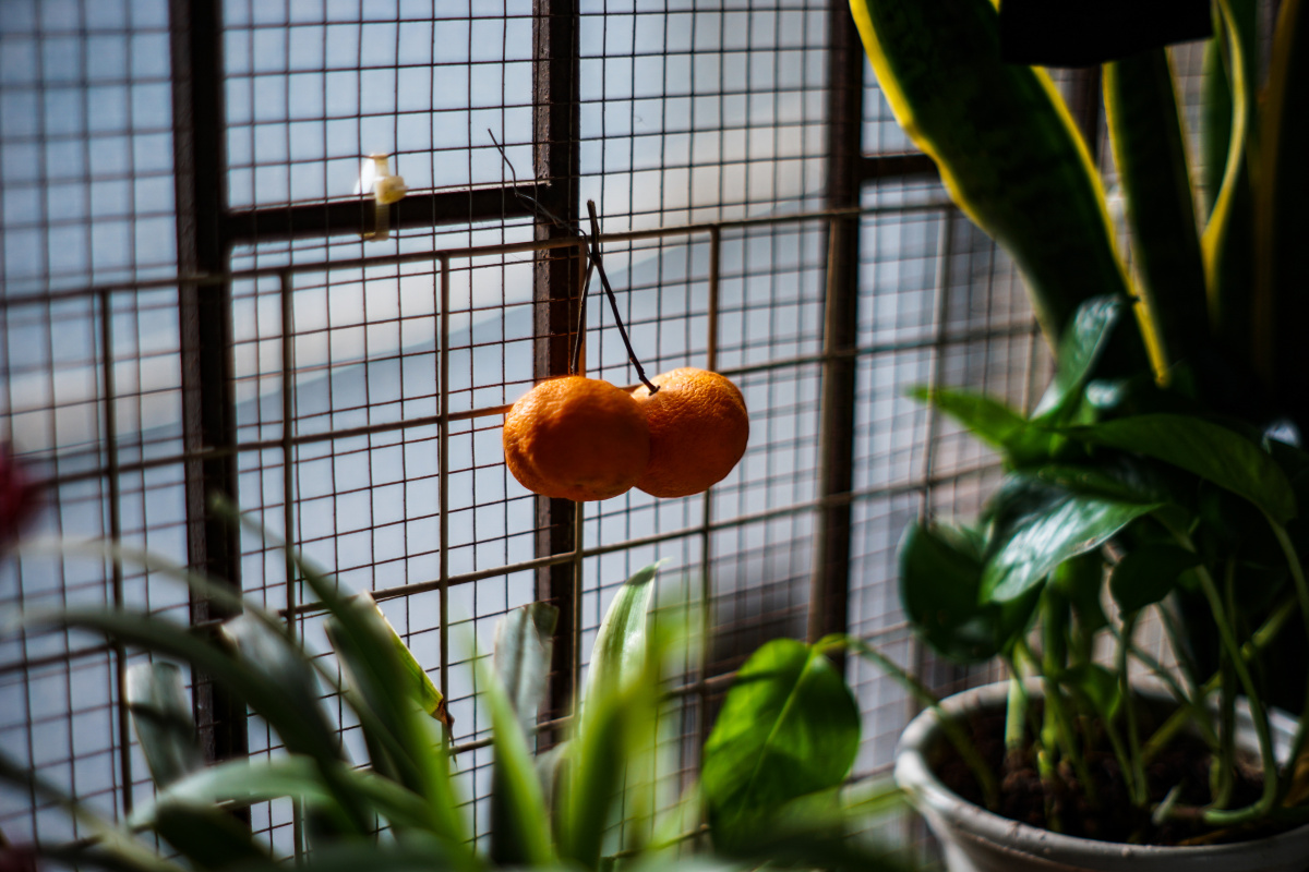 #Konica Ar 57 1.4 +a72 #