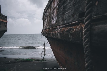 30065
