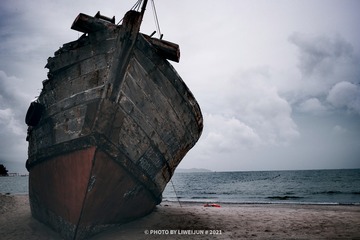 30081