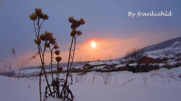 IMG_5618_副本.jpg