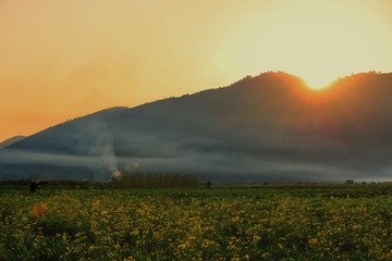 385587