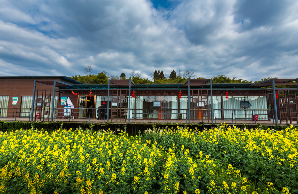 稻田油菜花建筑