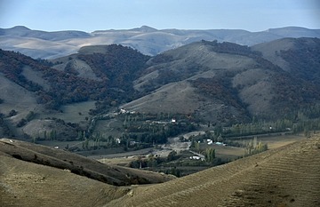 1564648