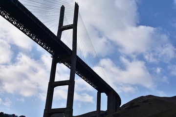 1554469