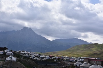 1204352