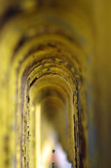 _IGP5947