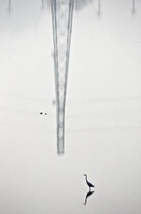 _IGP2865