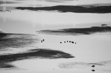 _IGP3285