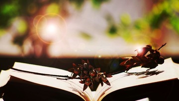 _IGP4720fb