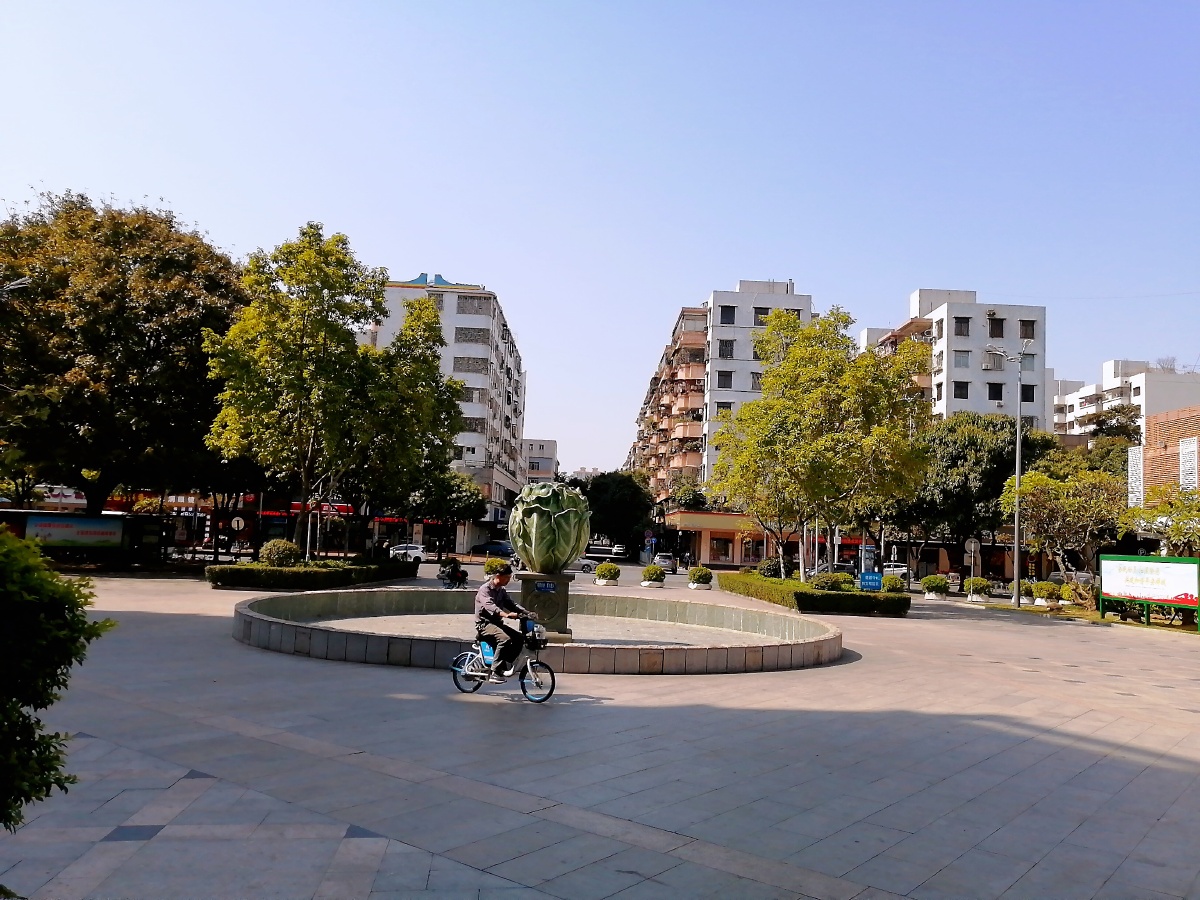 同济桥的故事. - 佛山傲雪