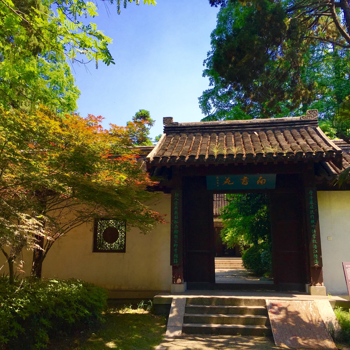 南通城市绿谷随拍