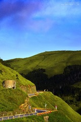 DSC_84532.jpg