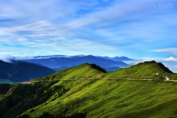 DSC_84671.jpg