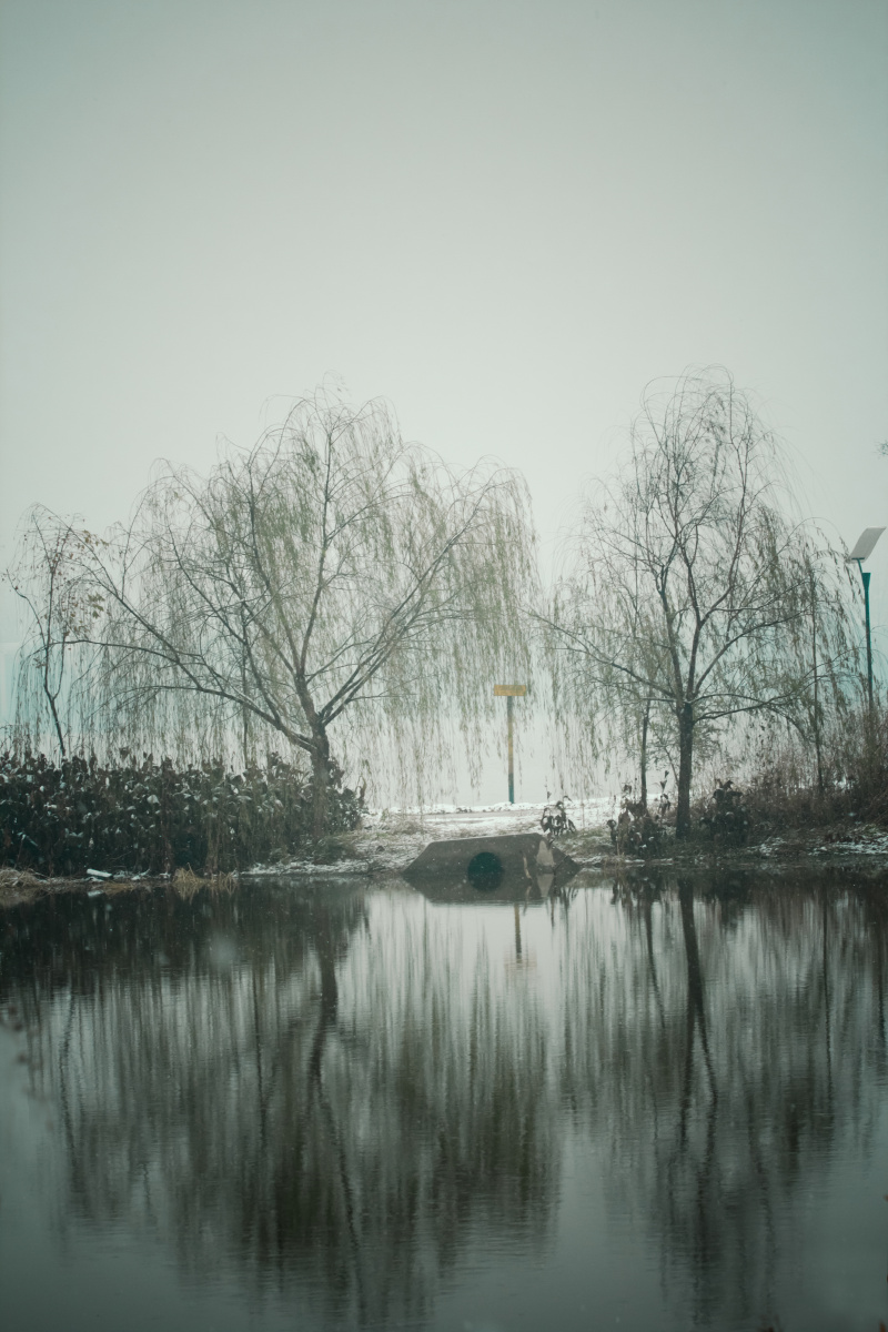 林表明霁色城中增暮寒