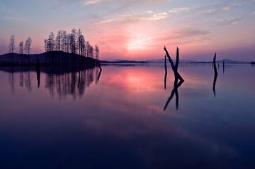 “_DSC2963”为智能对象-1.jpg