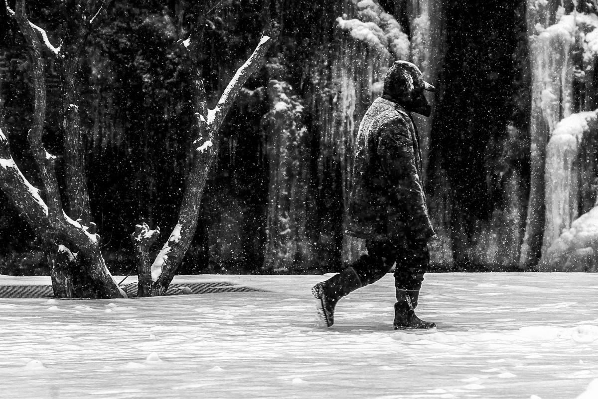 风雪夜归人 - CAPA十二月人像篇, 黑白, CAPA