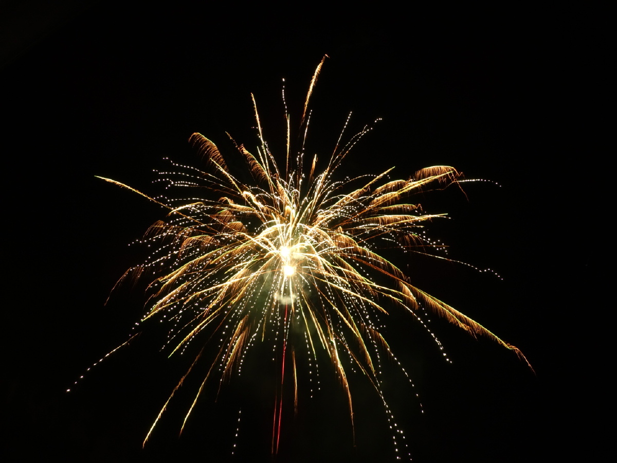 送您一束烟花许个愿吧6767