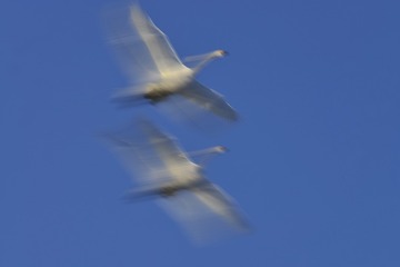 853144