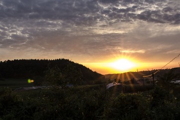 IMG_5126.jpg