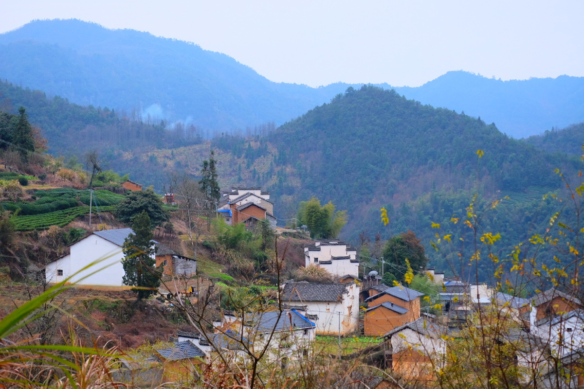 休宁蓝田上金龙山