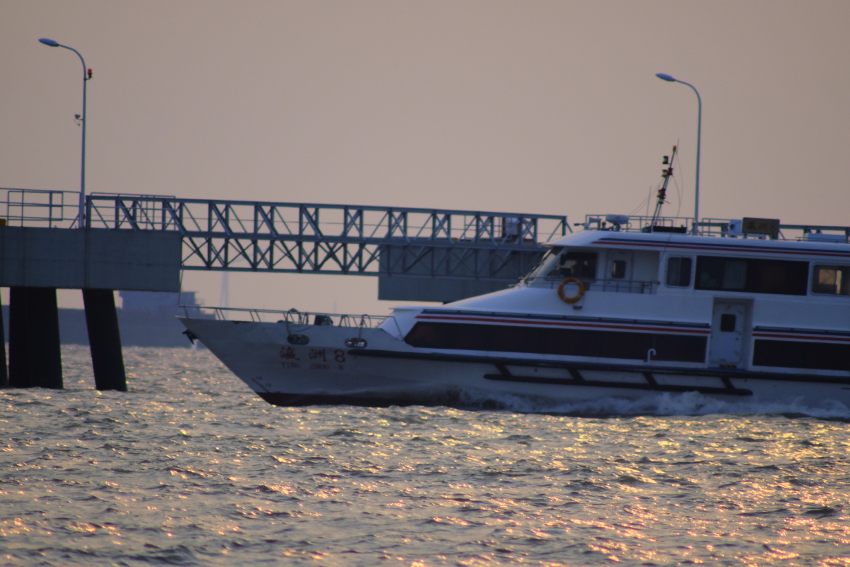 宝杨路码头崇明岛渡轮